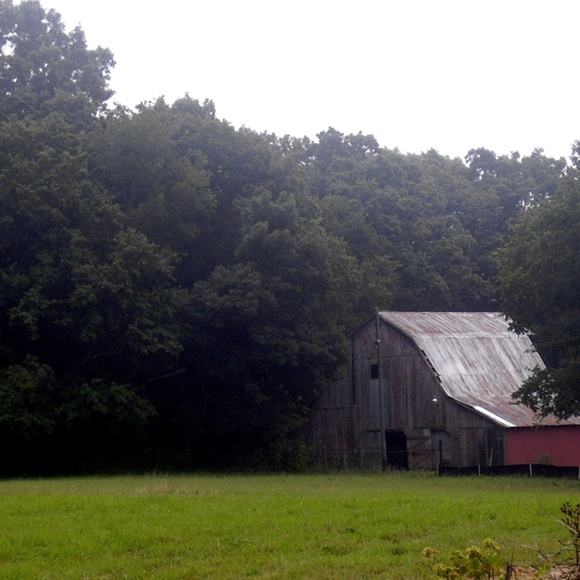 Meet your Posher, Kimberly - Picture 2 of 8